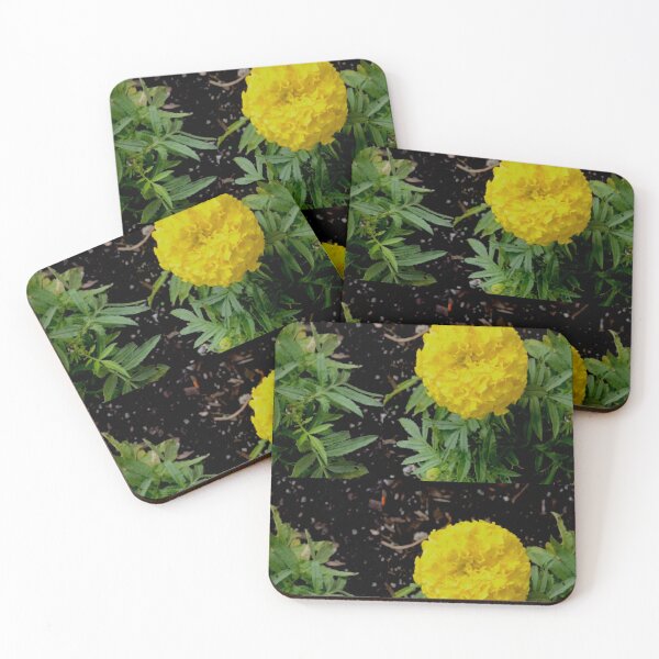 Item preview, Yellow, Yellow! designed and sold by KazM.