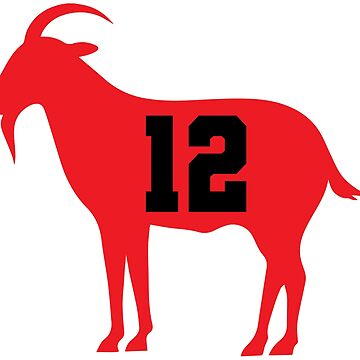 tom brady goat shirt Funny NE Patriots NFL Football T Shirt NFL SHIRTS  Essential T-Shirt for Sale by SpecialFunTee