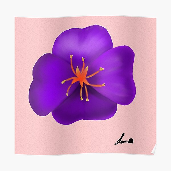 flower primrose violet Poster