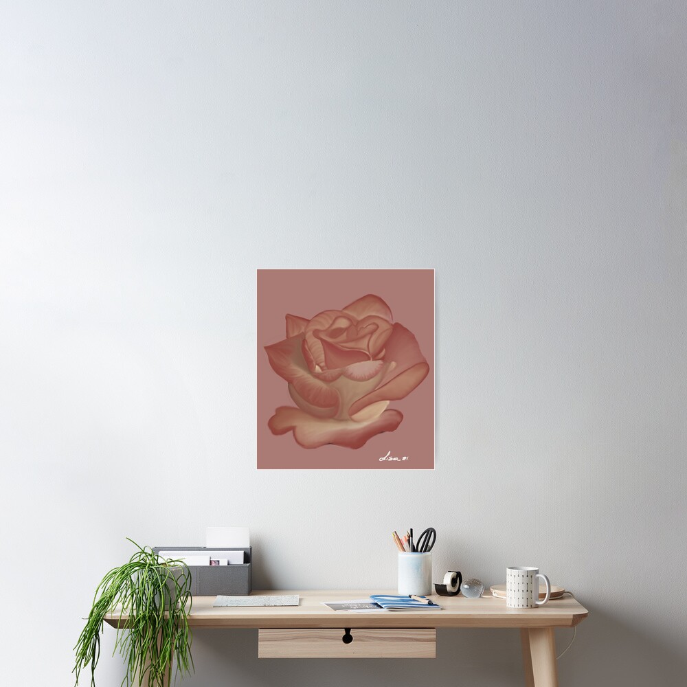 Pink Rose Poster