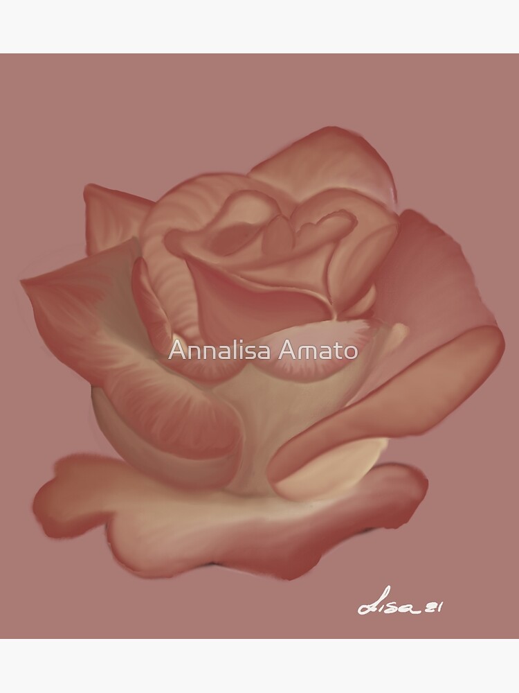 Pink Rose by annalisaamato