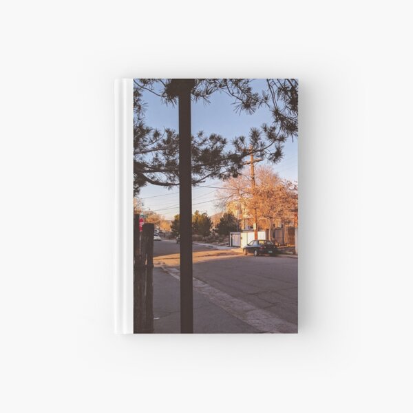 Dusky Ray Hardcover Journal