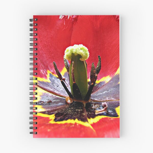 Item preview, Invitation to the Bees - Scarlet Tulip Supermacro designed and sold by BlueMoonRose.