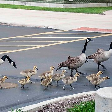 Artwork thumbnail, The babies go for their first check-up. by ROBERT NIEDERRITER