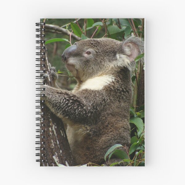 Item preview, Koala  designed and sold by WobblyWombat.