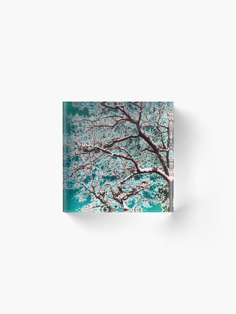 Alternate view of Cerulean Oak Acrylic Block