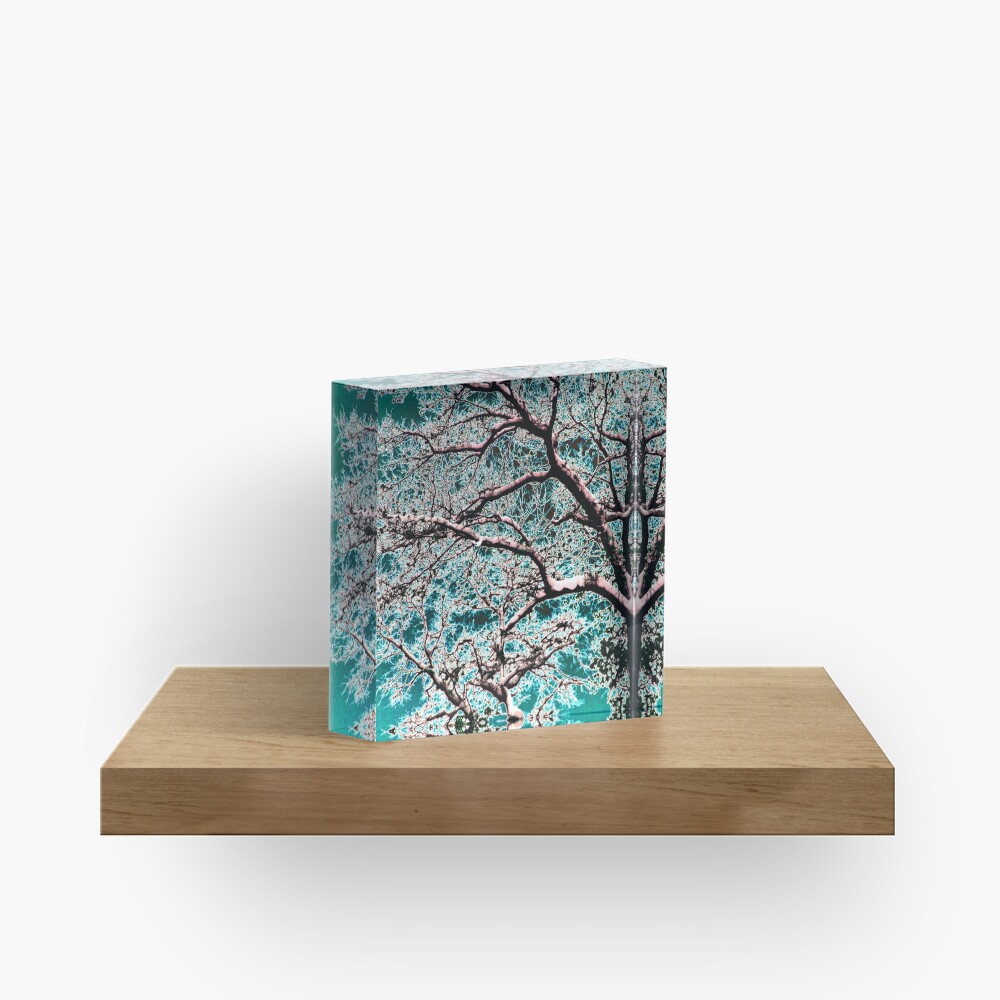 Cerulean Oak Acrylic Block