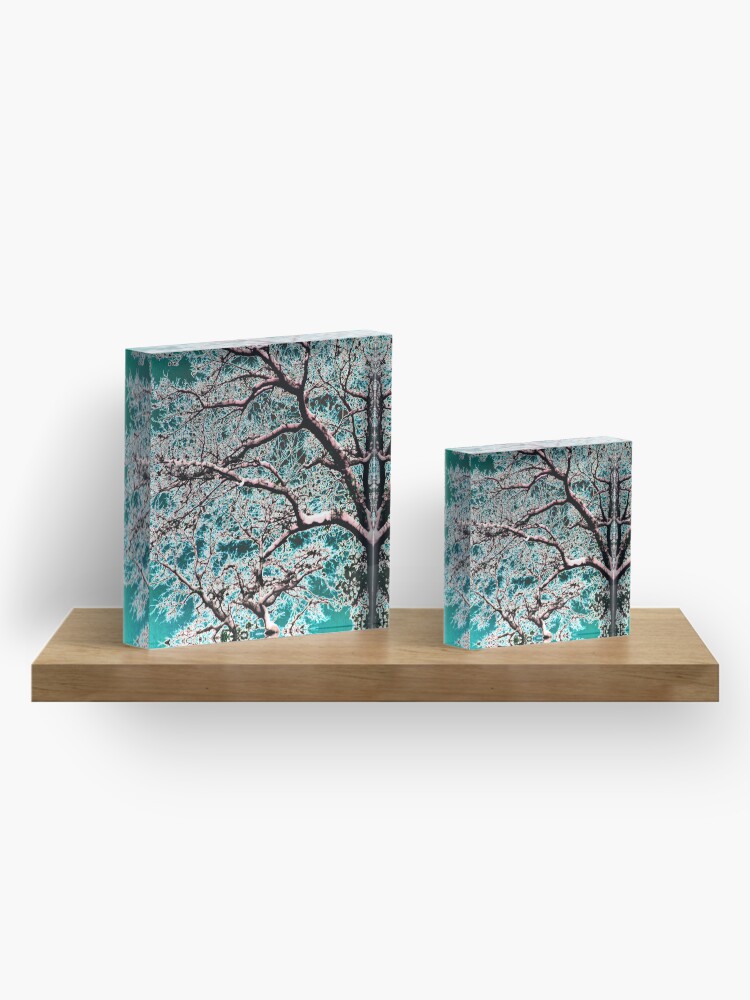 Alternate view of Cerulean Oak Acrylic Block