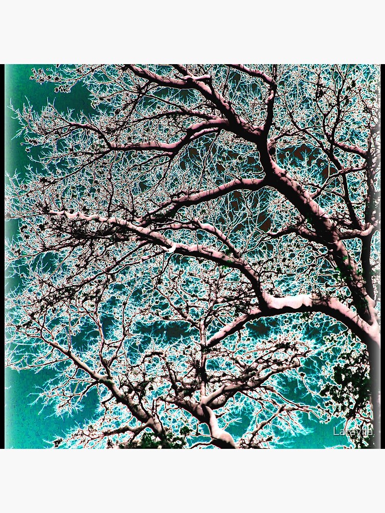 Cerulean Oak by Latavila
