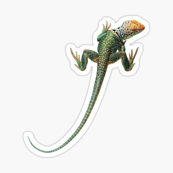 Item preview, Collared Lizard designed and sold by Salmoneggs.