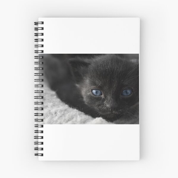 Item preview, Barn kitty designed and sold by theartsyeq.
