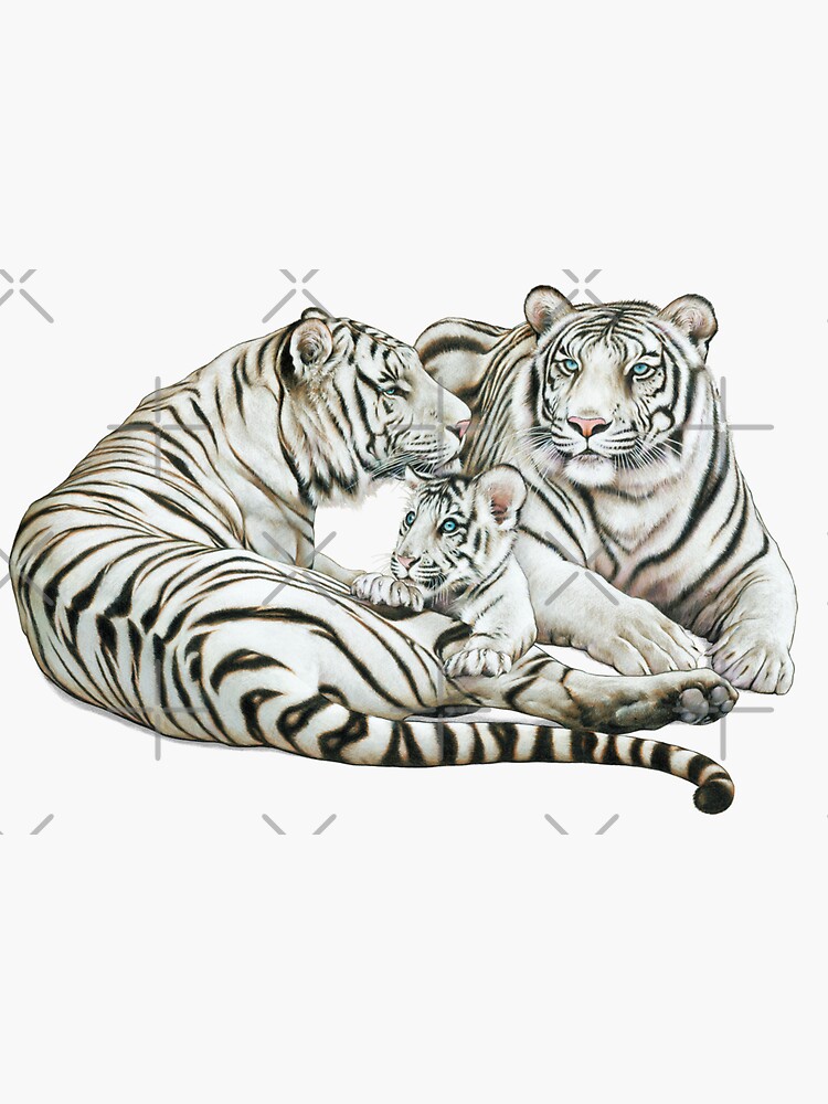 "White Tiger Family" Sticker by Salmoneggs Redbubble
