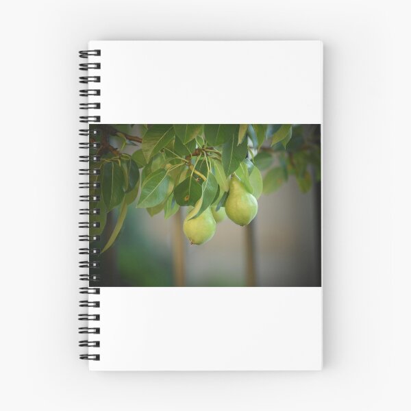 Item preview, Pears designed and sold by theartsyeq.