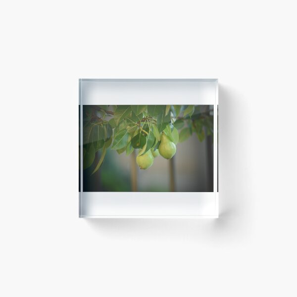 Item preview, Pears designed and sold by theartsyeq.