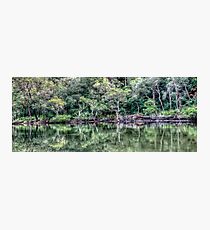 Pittwater Paradise Photographic Print