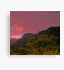 973 Canvas Print