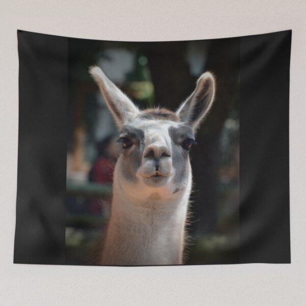 Item preview, Lama designed and sold by Savannah Gibbs.