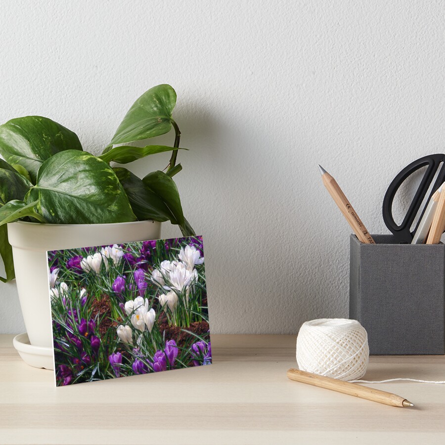 Item preview, Art Board Print designed and sold by RuthFurtado.
