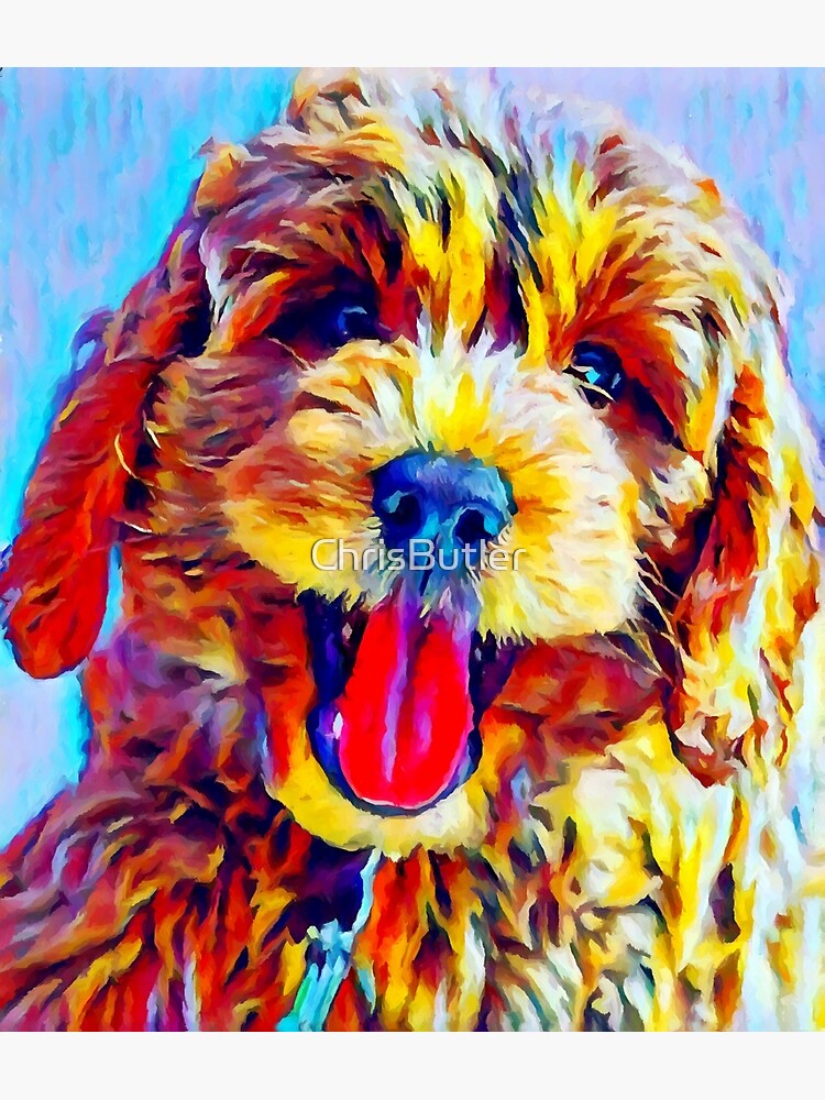 Goldendoodle 2 by ChrisButler