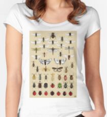 Entomologie Insektenstudien Sammlung Tailliertes Rundhals-Shirt