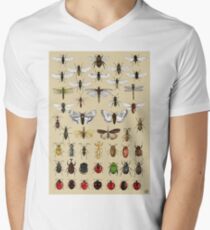 Entomologie Insektenstudien Sammlung T-Shirt mit V-Ausschnitt