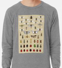 Entomologie Insektenstudien Sammlung Leichter Pullover