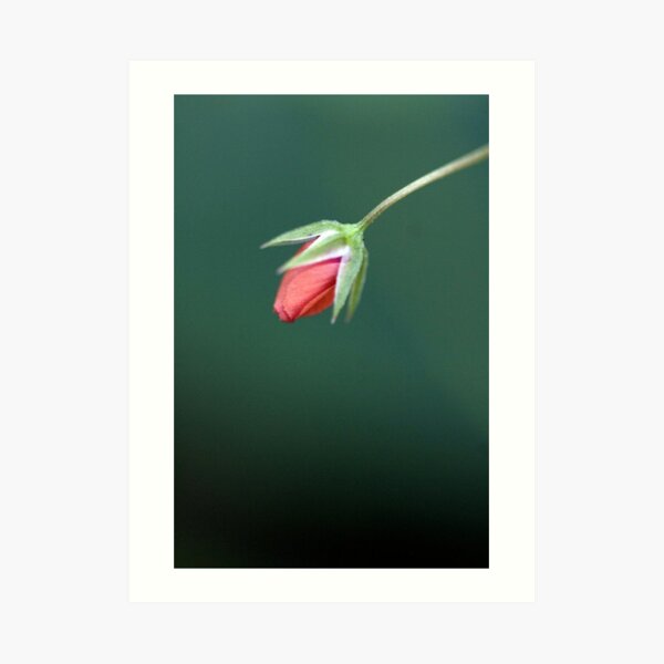 you might miss me Art Print