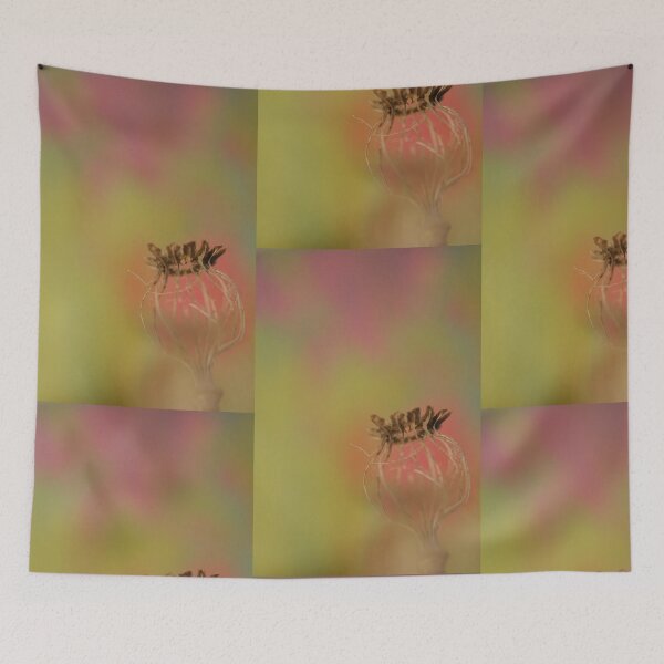 Item preview, Poppy Shell designed and sold by duncandragon.