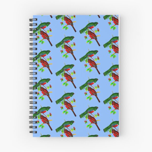 Item preview, Collared Trogon, Trogon collaris designed and sold by marmur.