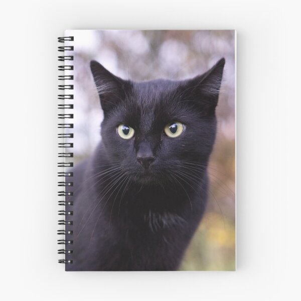 Item preview, Black Cat designed and sold by kawaii-store.
