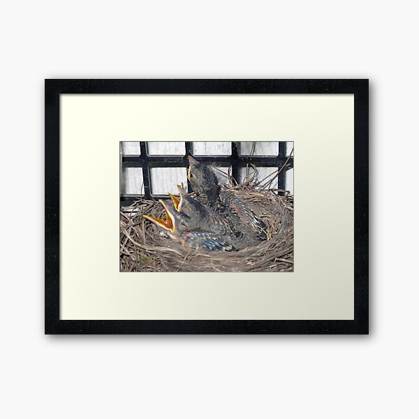 New Clothes for the Babies Framed Art Print