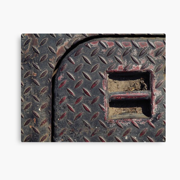Trap door handle Canvas Print