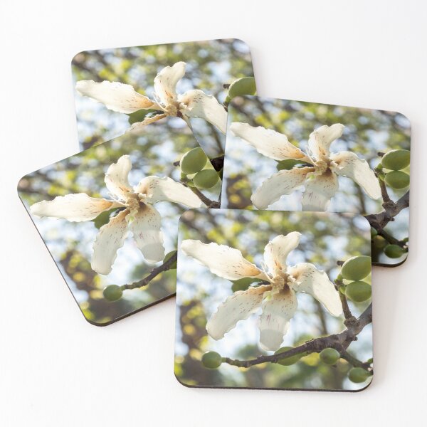 Item preview, Singular Exotic Bloom - Flowering Silk Floss Tree Ceiba Speciosa  designed and sold by Georgia Mizuleva.