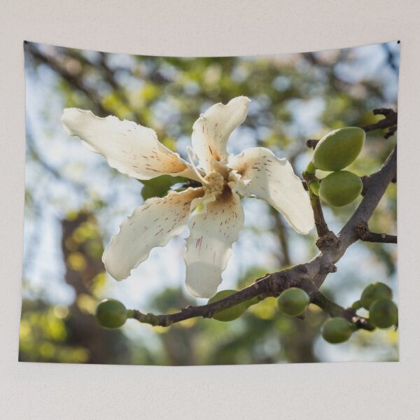 Item preview, Singular Exotic Bloom - Flowering Silk Floss Tree Ceiba Speciosa  designed and sold by Georgia Mizuleva.