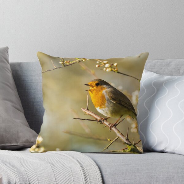 Item preview, Robin and a Spring Song designed and sold by Postywood.