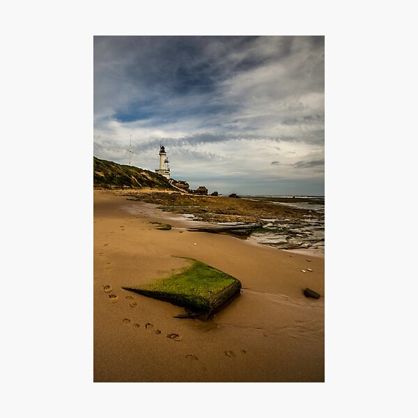Item preview, Greenery at Pt. Lonsdale designed and sold by Lisa Kenny.