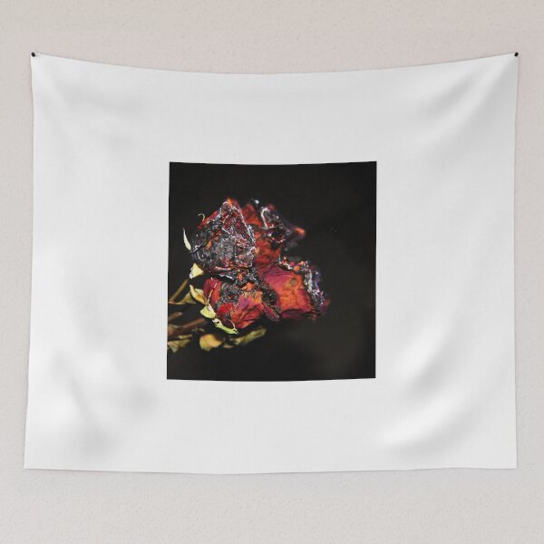 Item preview.