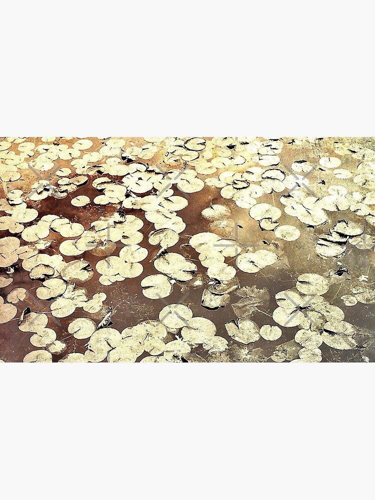 Golden Lily Pads - Art Photography - Nature Decor by OneDayArt