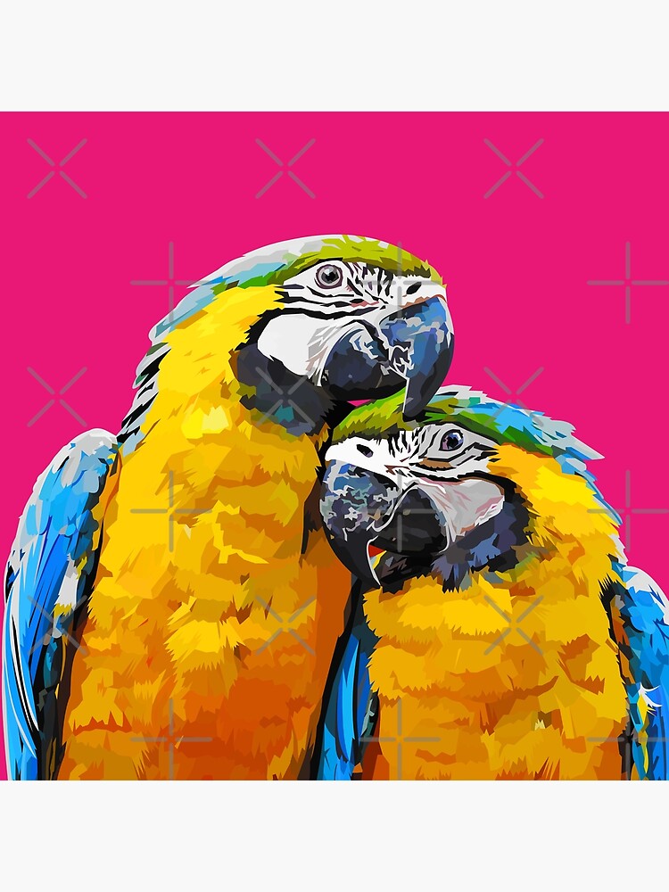 Two lovely parrots by Elviranl