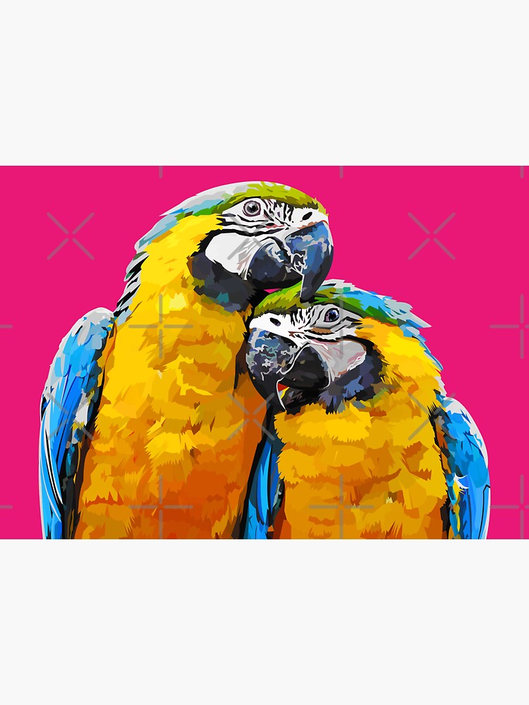 Two lovely parrots by Elviranl