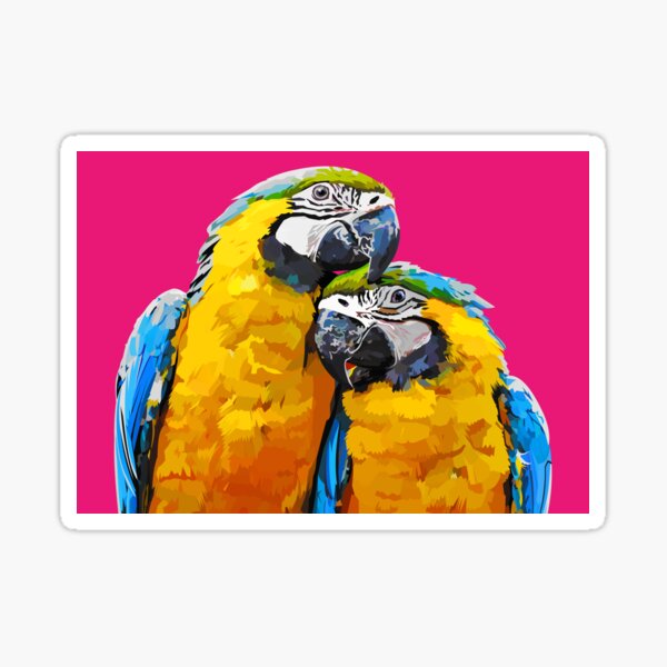 Two lovely parrots Sticker