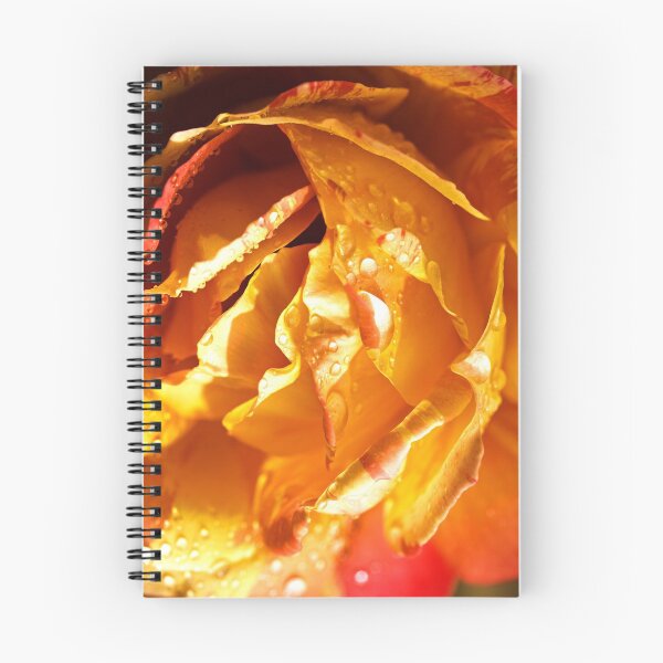 Item preview, rose by any other name would still smell beautiful designed and sold by evolutionx.