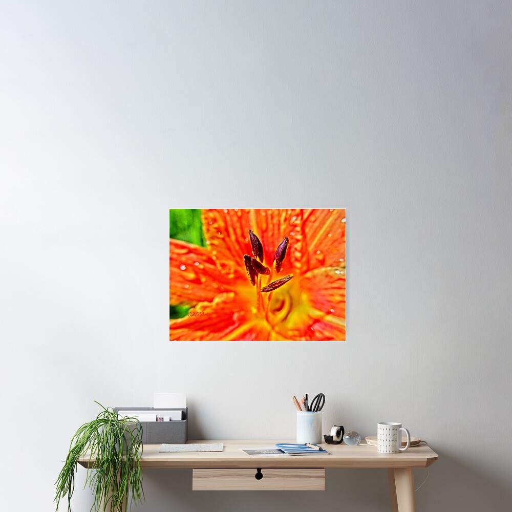 Five Stamen Day Lilly Poster