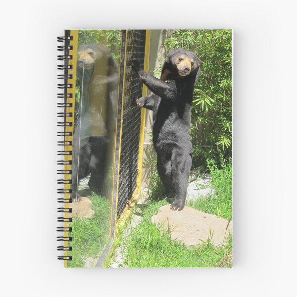 Item preview, Sun Bear designed and sold by coffeebean.