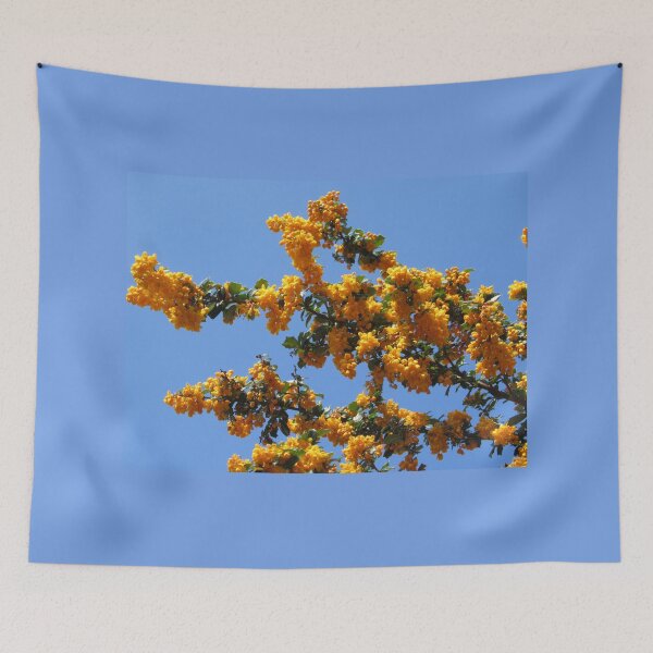 Item preview, Spring Berberis In South Brent designed and sold by lezvee.