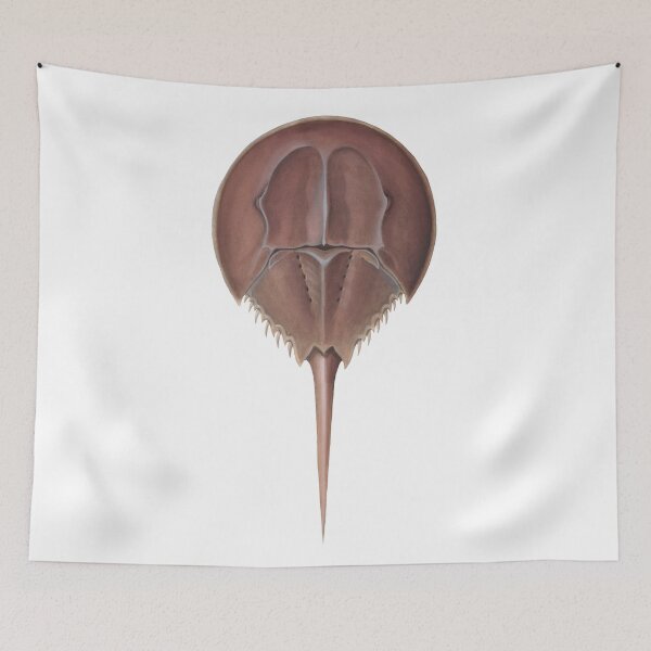 Item preview, Horseshoe Crab  designed and sold by JadaFitch.