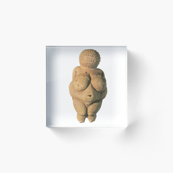 #Venus of #Willendorf #artifact sculpture art figurine statue humanbody #VenusofWillendorf Acrylic Block