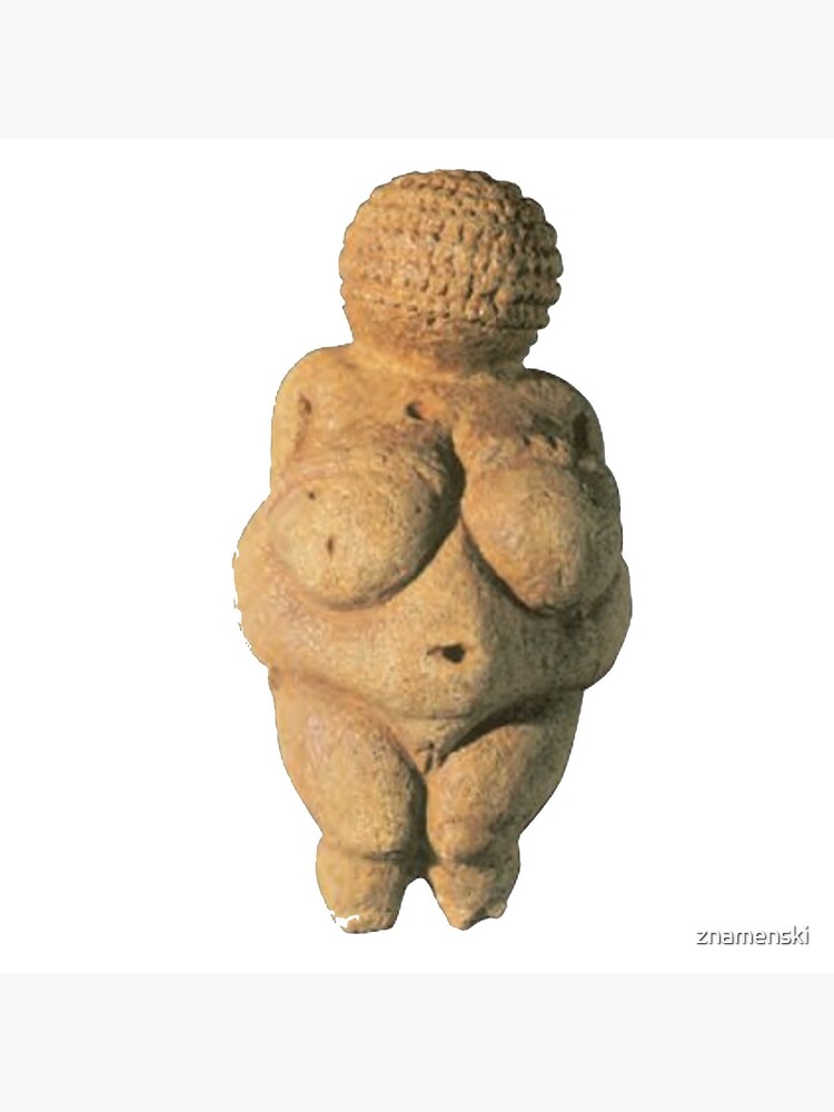 #Venus of #Willendorf #artifact sculpture art figurine statue humanbody #VenusofWillendorf by znamenski