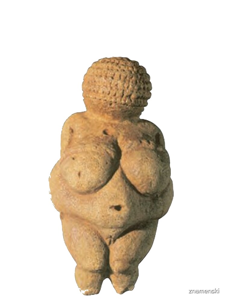 #Venus of #Willendorf #artifact sculpture art figurine statue humanbody #VenusofWillendorf by znamenski