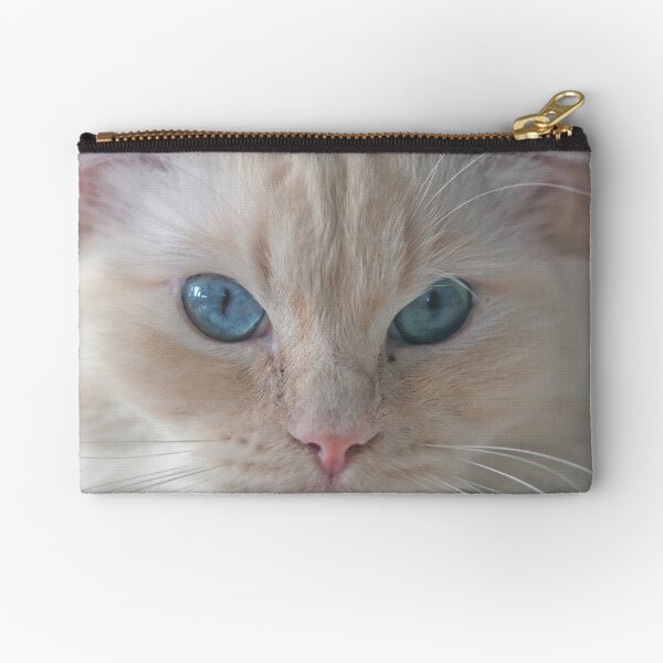Item preview, Ragdoll cat with blue eyes designed and sold by Forestpictures.